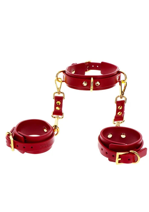 D-RING COLLAR AND WRIST CUFFS