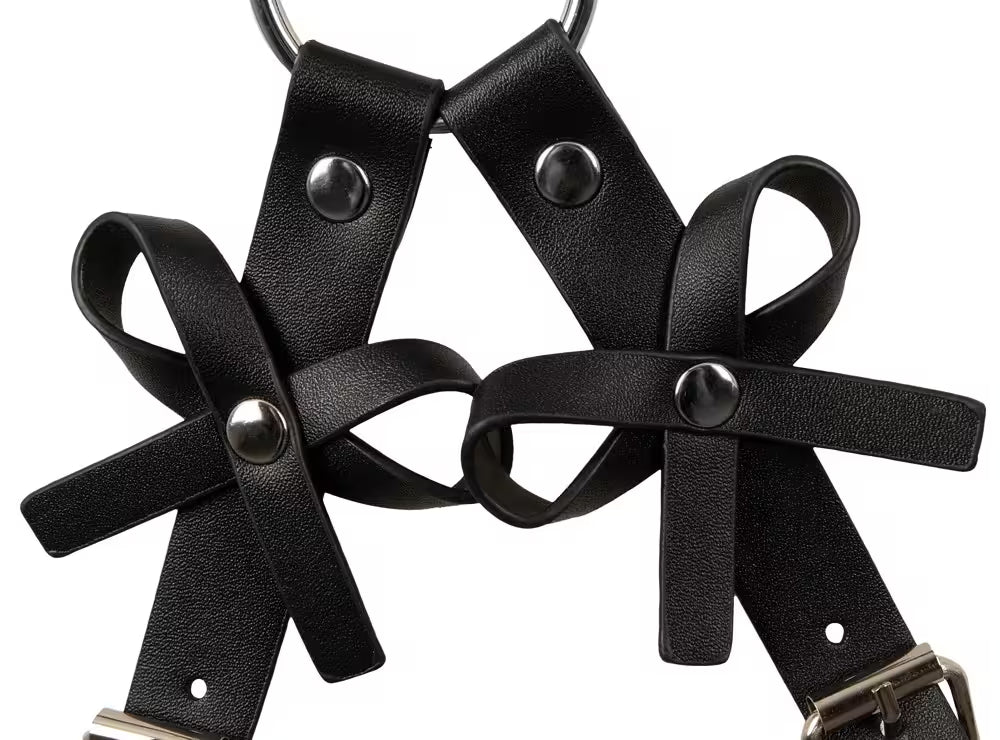 HARNESS WITH CUFFS