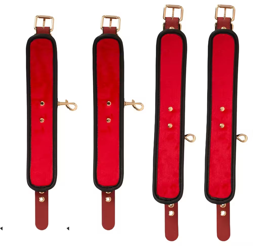 BED/DOOR RESTRAINT SET