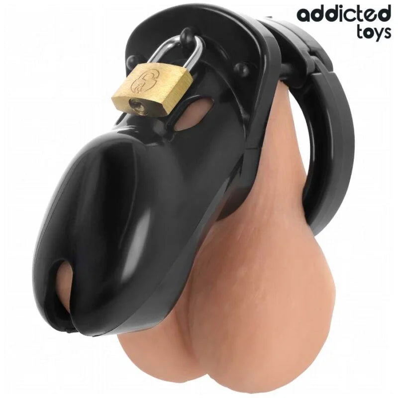 ADDICTED TOYS LOCKED – FORBIDDEN VAULT PENIS CAGE