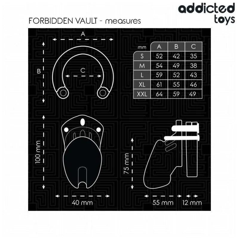 ADDICTED TOYS LOCKED – FORBIDDEN VAULT PENIS CAGE