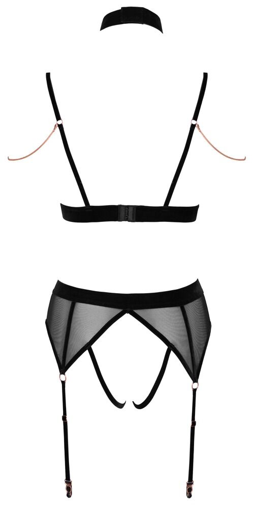 BRA AND SUSPENDER SET