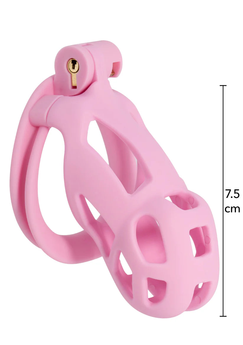 PENIS PRISON COCK CAGE REGULAR