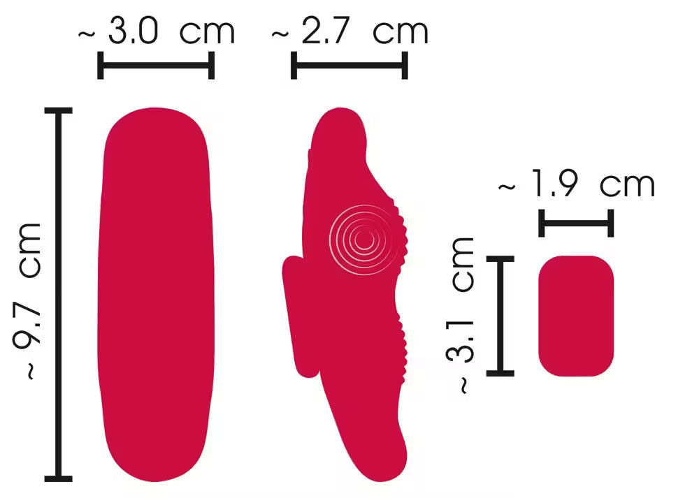 RC PANTY VIBRATOR
