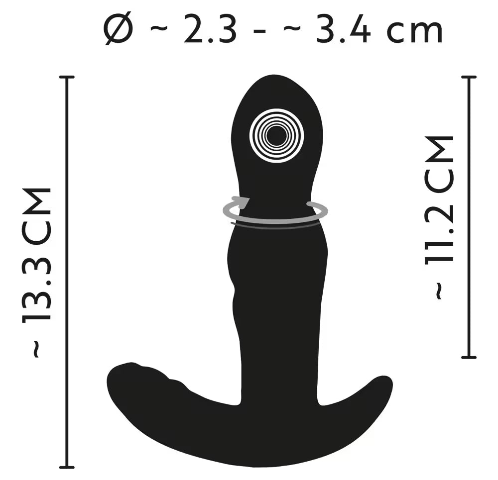 RC ROTATING PROSTATE PLUG WITH VIBRATION