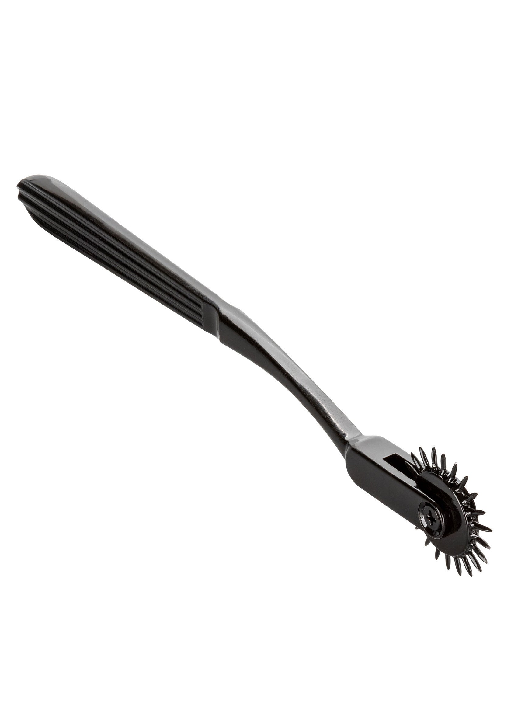 BOUNDLESS PLEASURE WHEEL