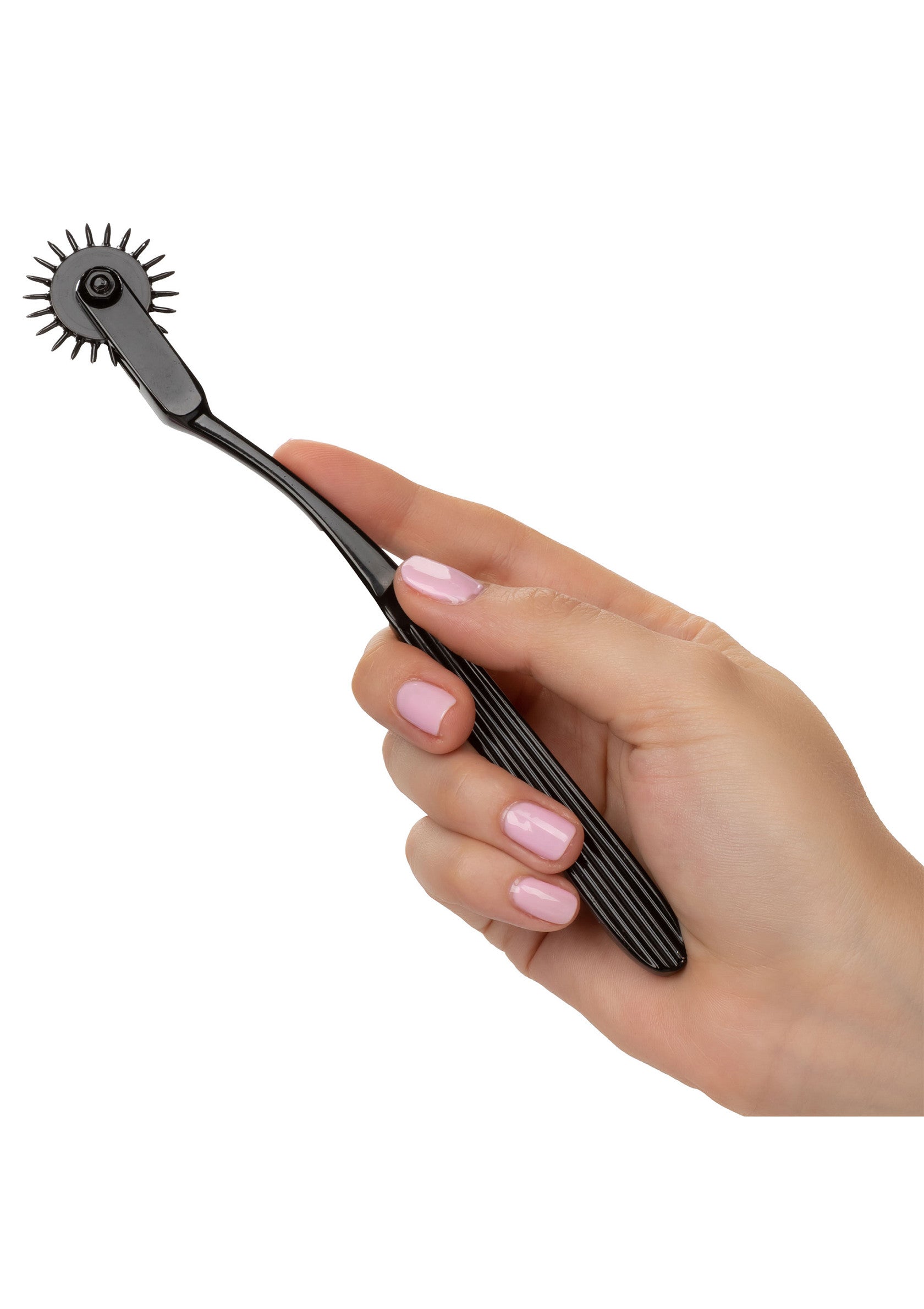 BOUNDLESS PLEASURE WHEEL