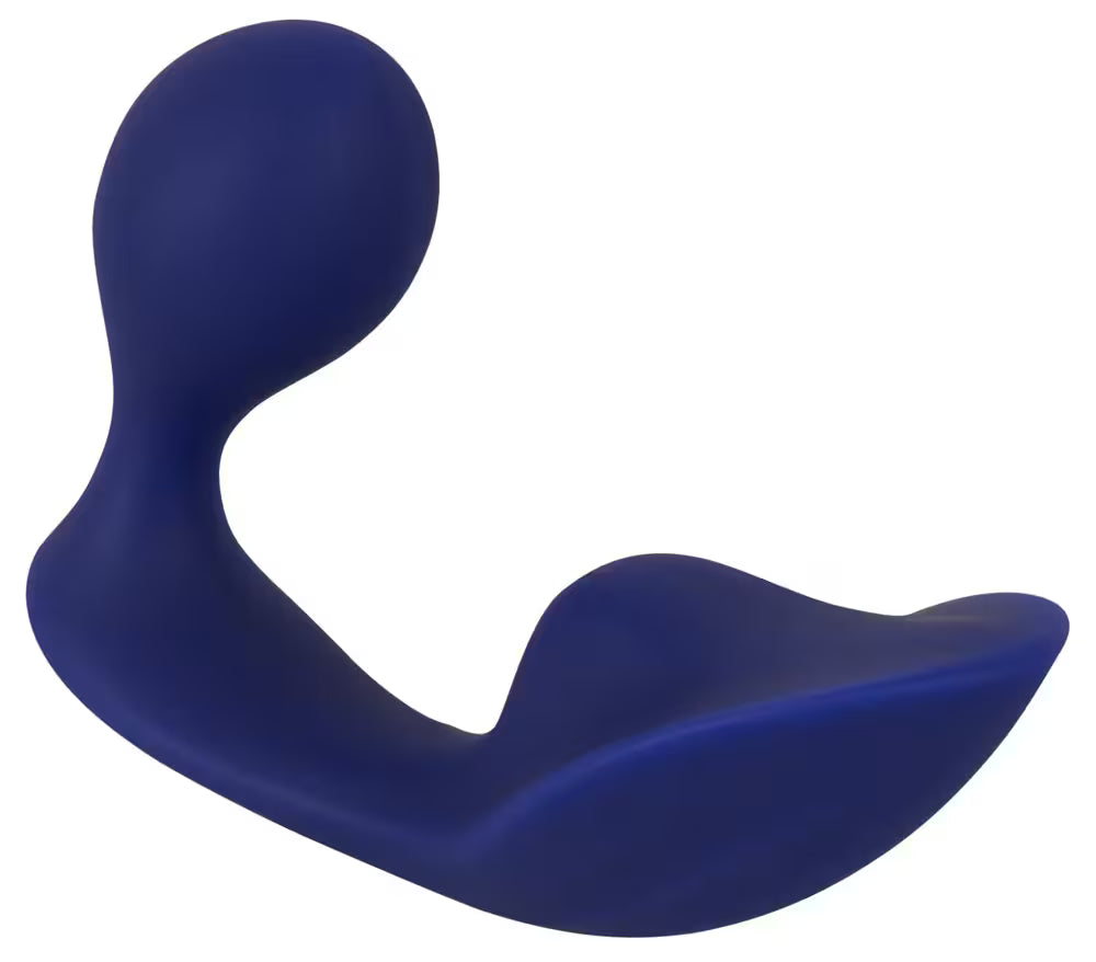 RC ANAL PANTY VIBRATOR