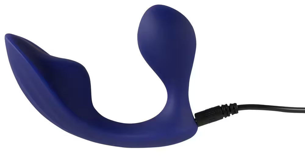 RC ANAL PANTY VIBRATOR