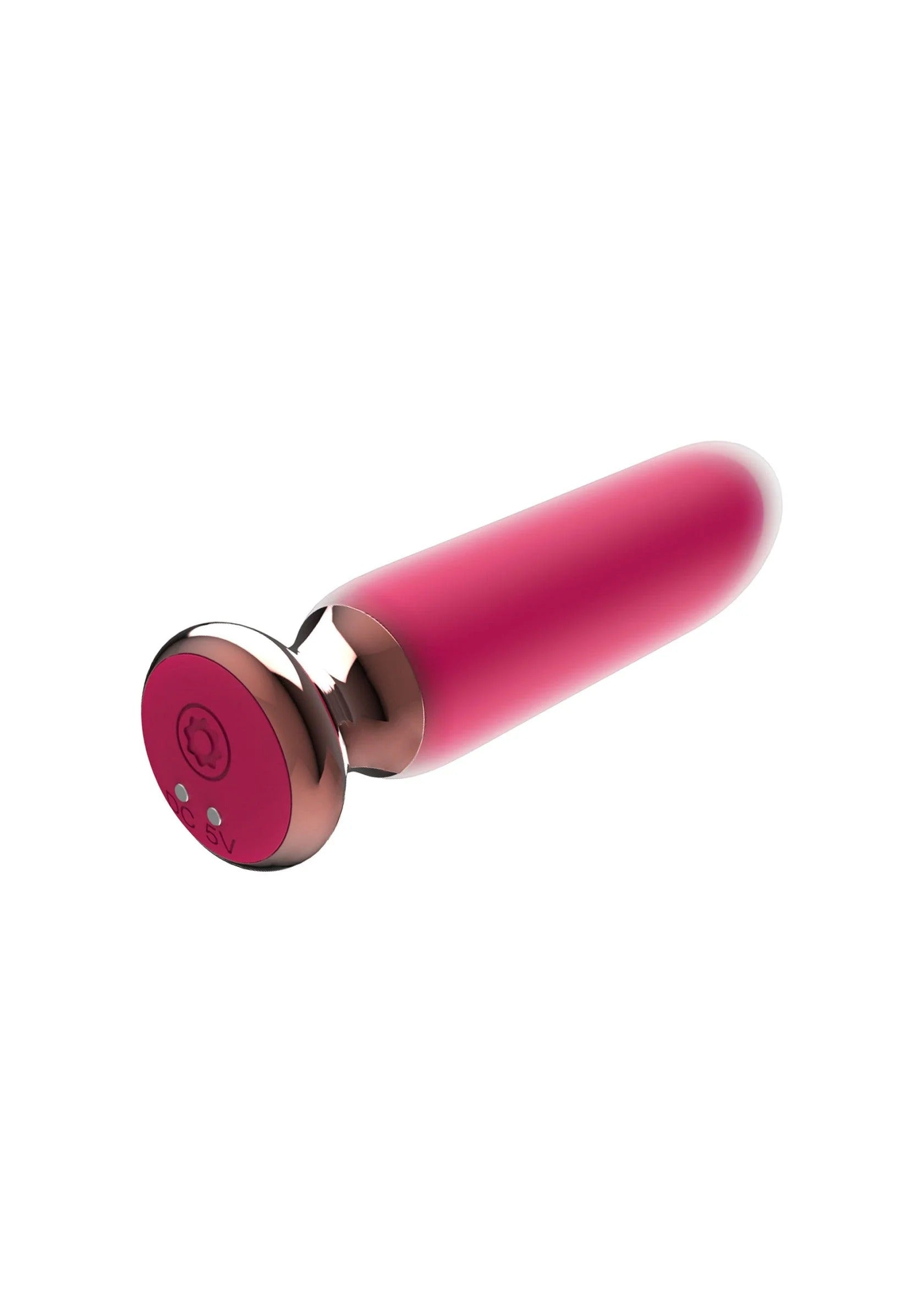THE GRACIOUS BUTT PLUG