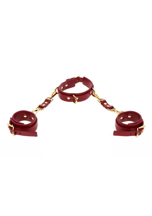 D-RING COLLAR AND WRIST CUFFS