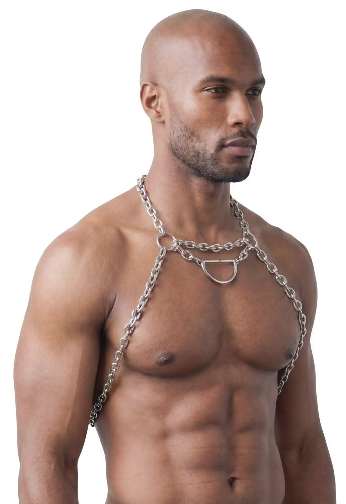 HARNESS