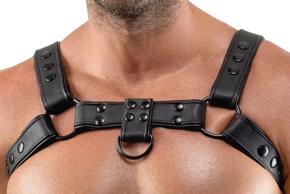 CHEST HARNESS