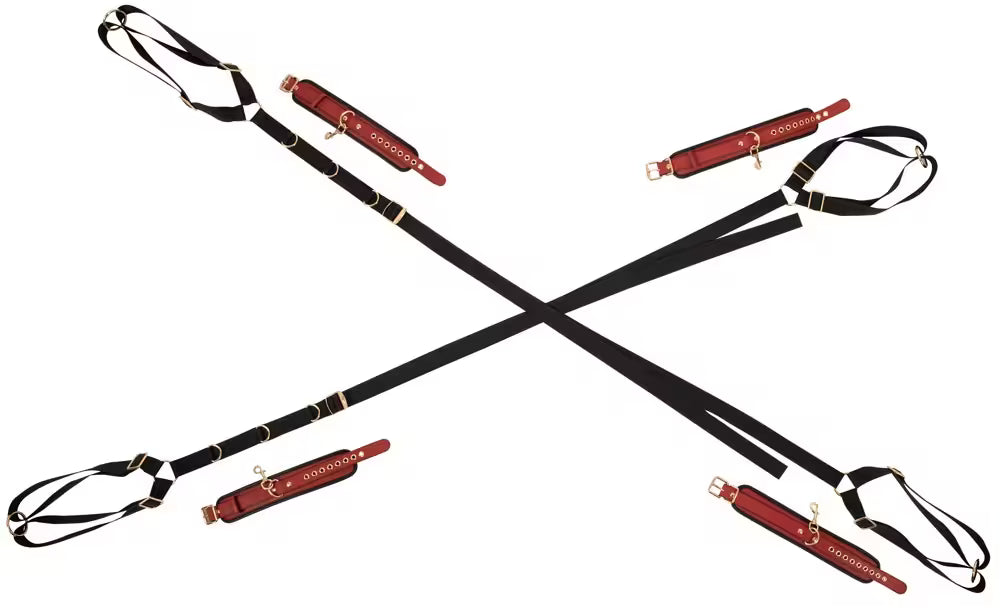 BED/DOOR RESTRAINT SET