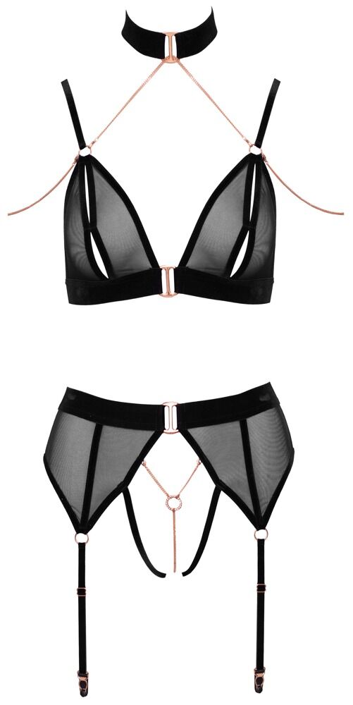 BRA AND SUSPENDER SET