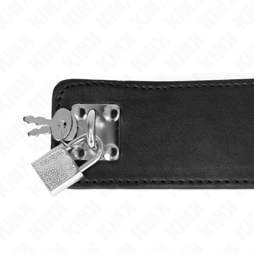 COLLAR WITH LEASH 65 CM