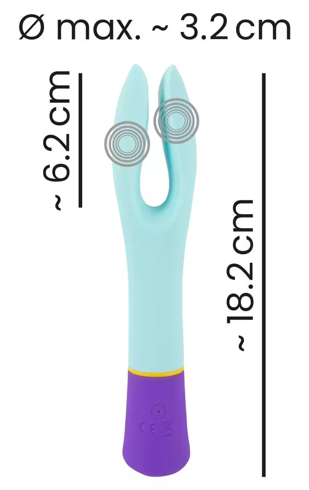 DOUBLE VIBRATOR