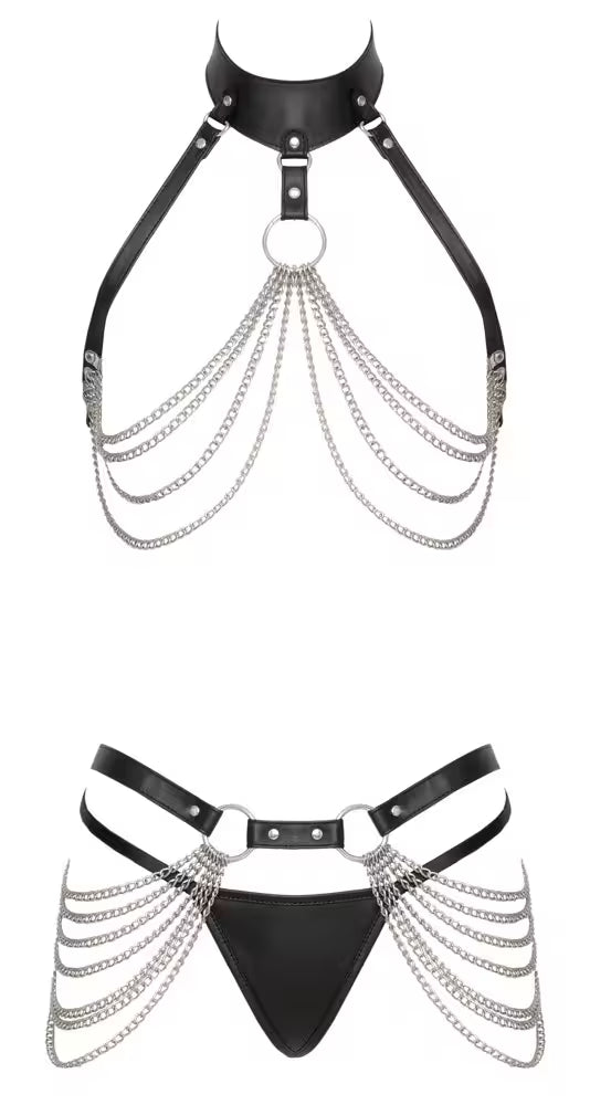 HARNESS SET