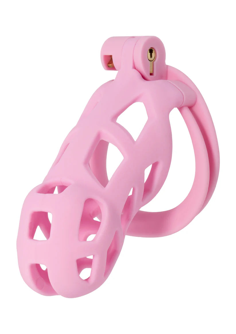 PENIS PRISON COCK CAGE LONG