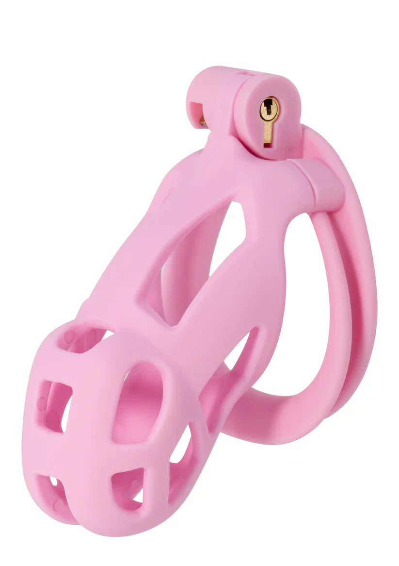 PENIS PRISON COCK CAGE REGULAR