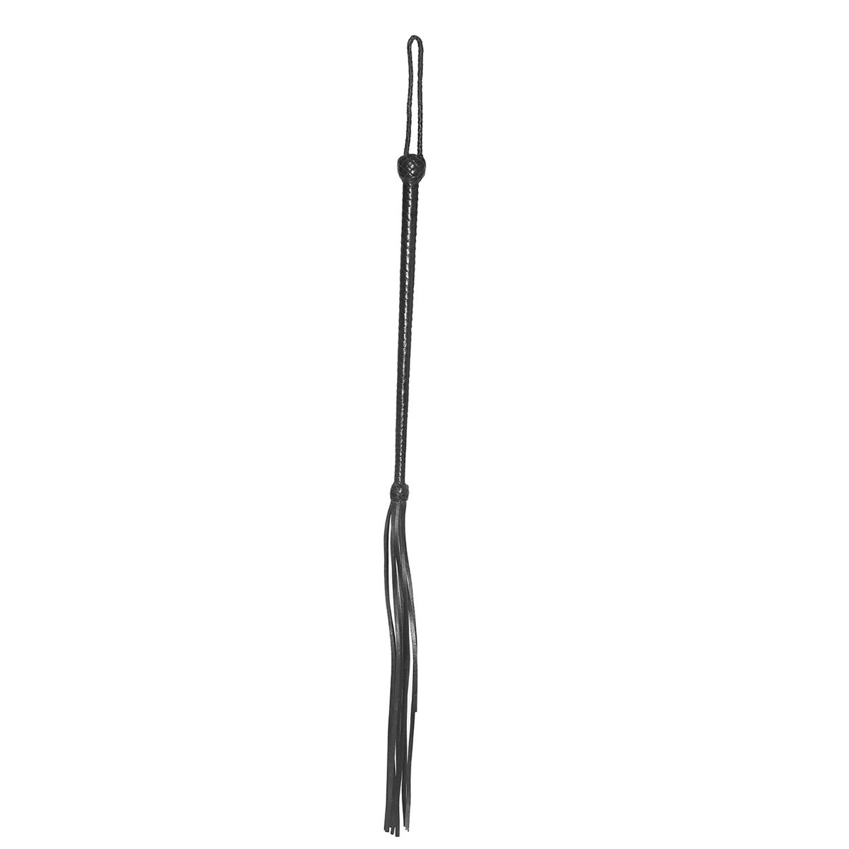 LONG HANDLED WHIP