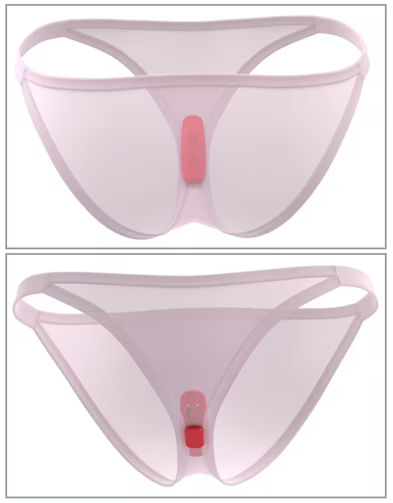 RC PANTY VIBRATOR