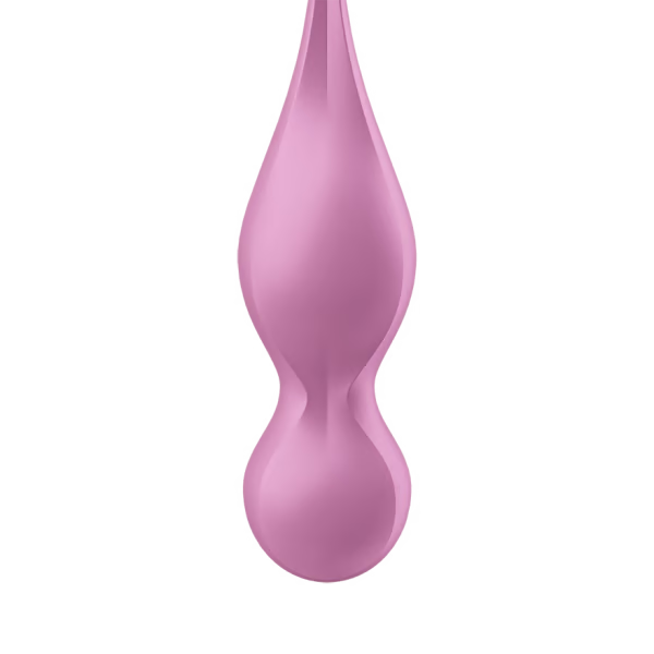 SATISFYER LOVE BIRDS 1 CONNECT APP