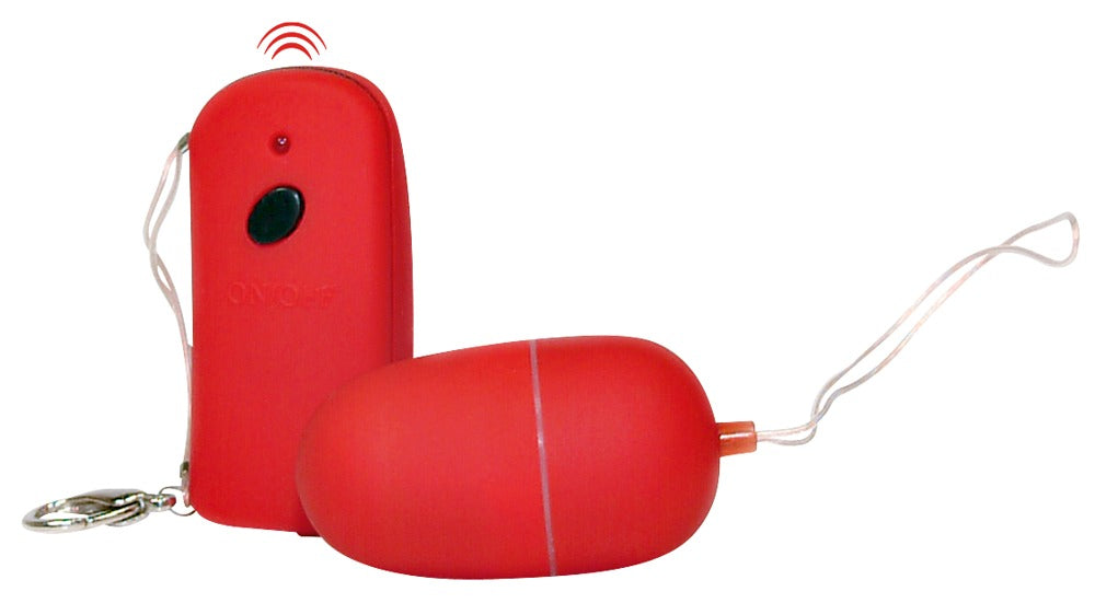 REMOTE CONTROLLED VIBRATING EGG